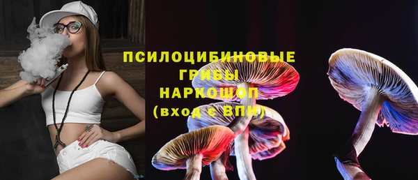 гидропоника Алексеевка