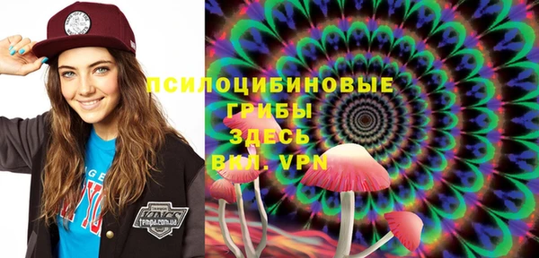 2c-b Алексин