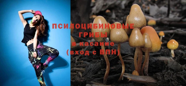 а пвп мука Алзамай